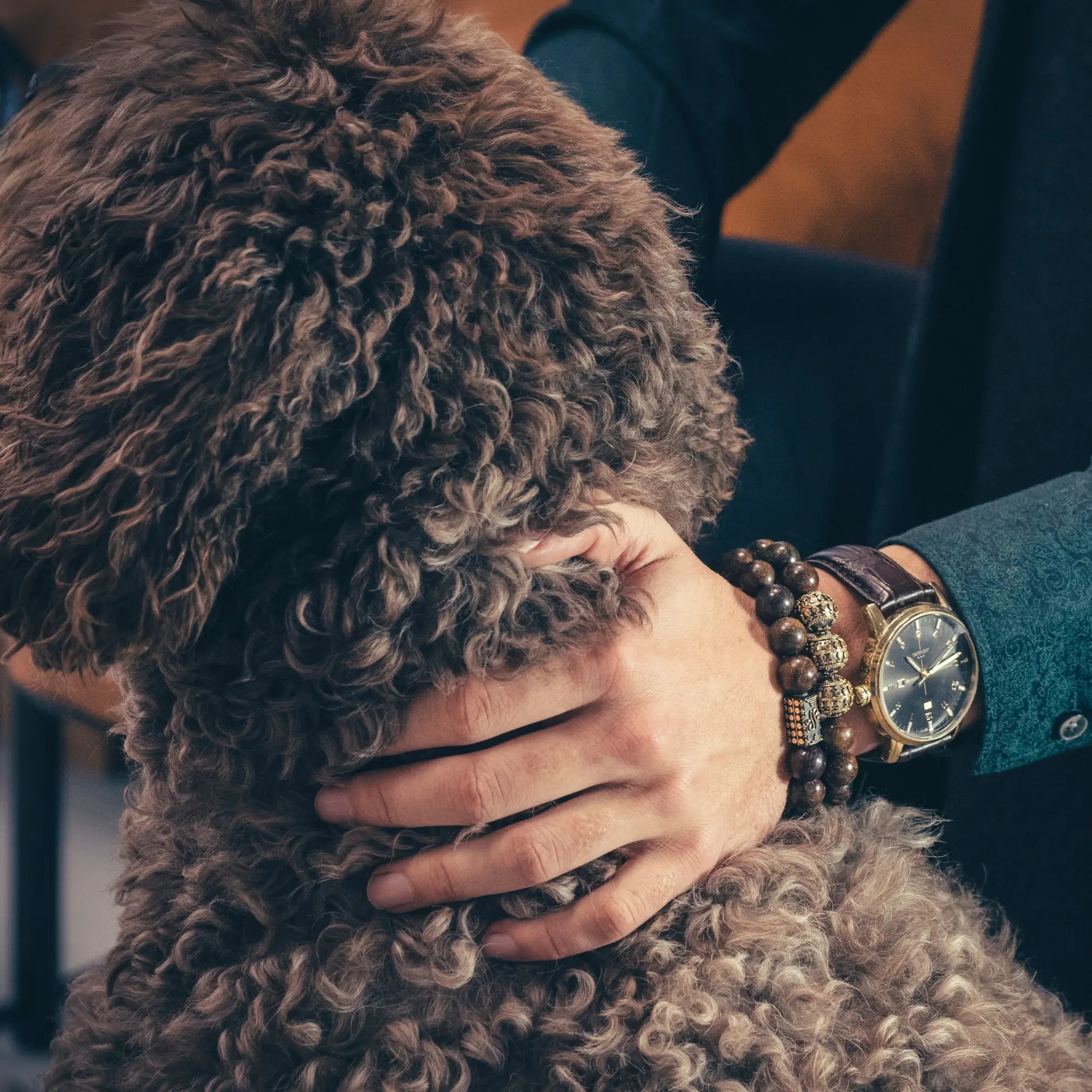 Bronzite Gold Bracelet II (12mm)